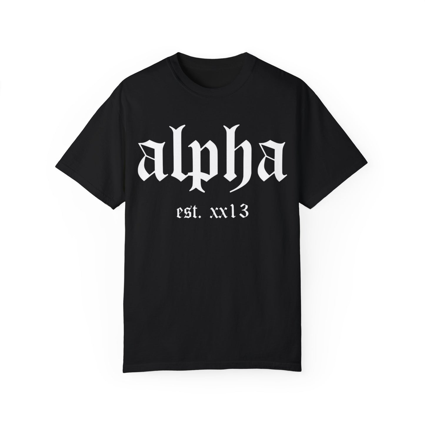 ALPHA 2013 T-SHIRT